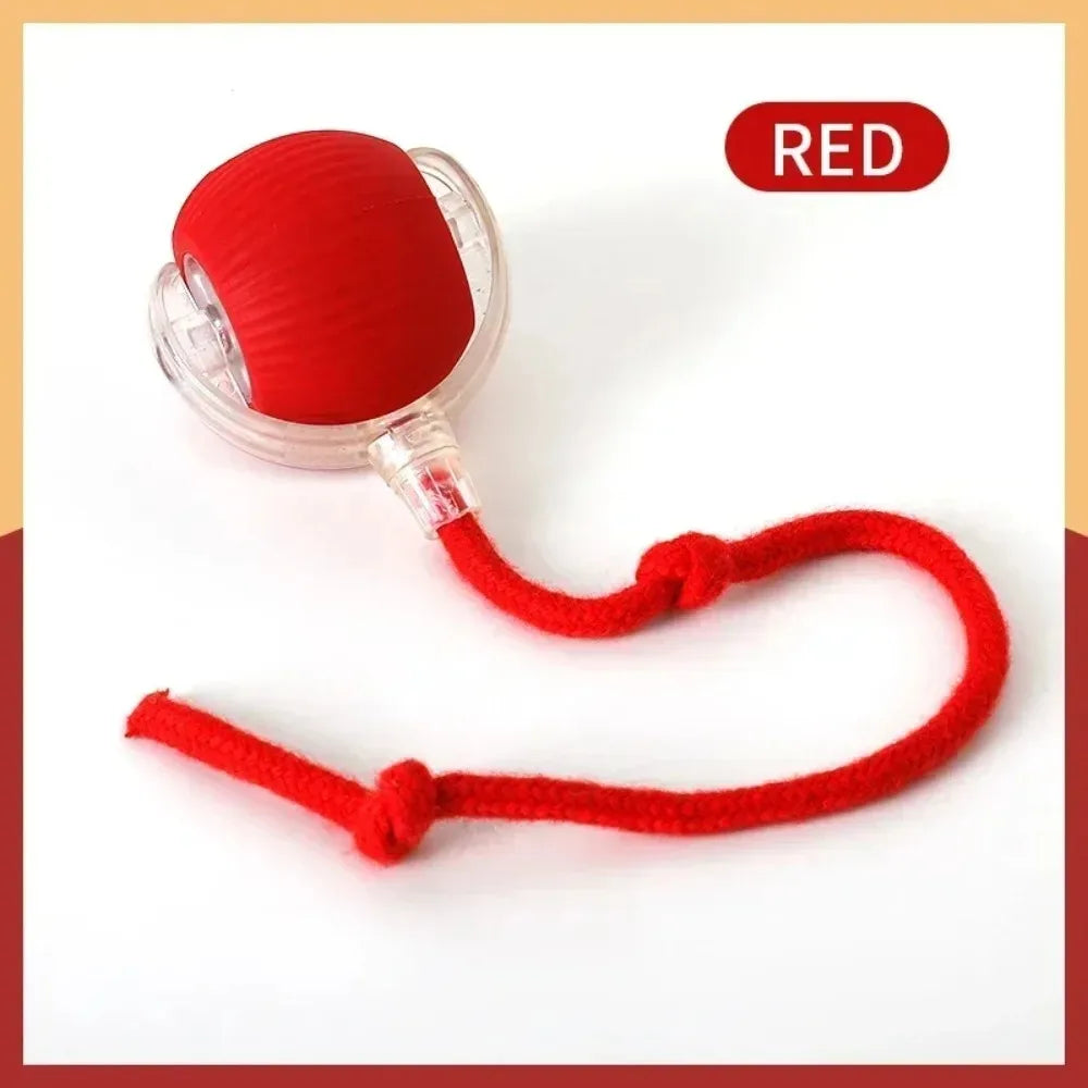 Rechargeable Smart Cat Ball Toy – Interactive Automatic Rolling Ball with Faux Tail, USB Type-C Charging, Anti-Obstacle Design for Dogs & Cats
