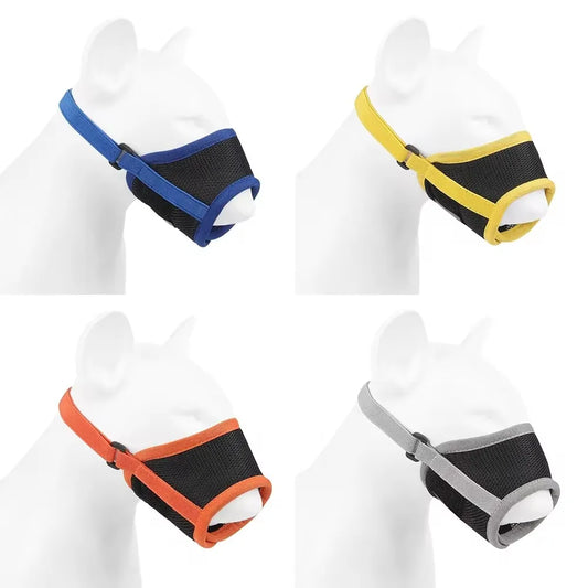 Golden retriever wearing soft dog muzzle