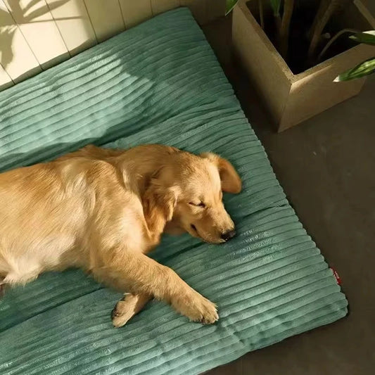Warm winter sleeping mat for small and medium dogs