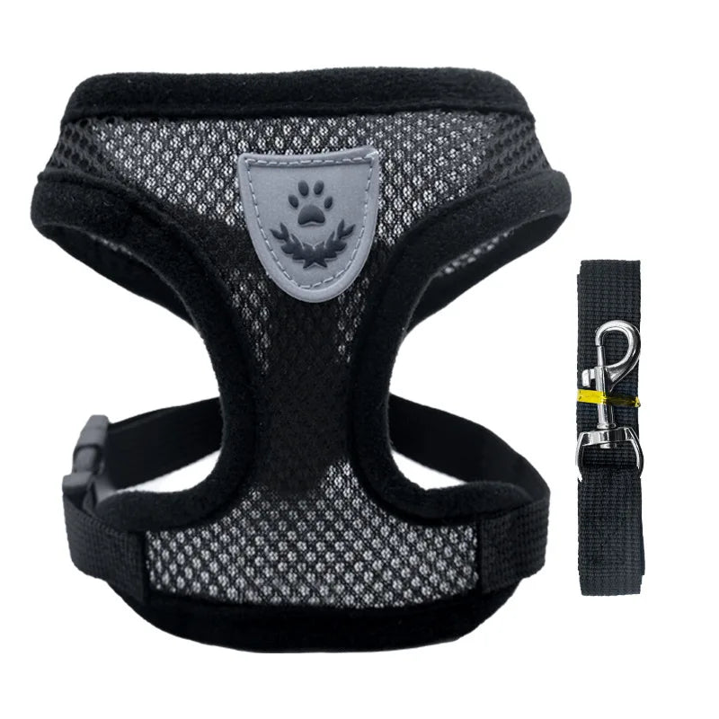 Pet Harness & Leash Set – Adjustable for Cats & Dogs