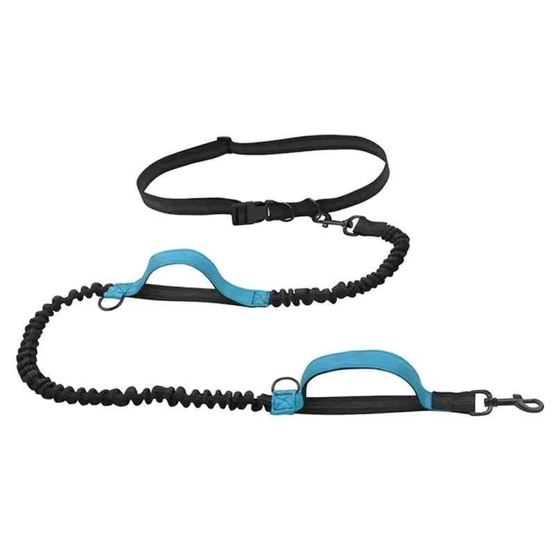 Reflective Elastic Dog Leash – Dual Stretch Traction Rope for Outdoor Running