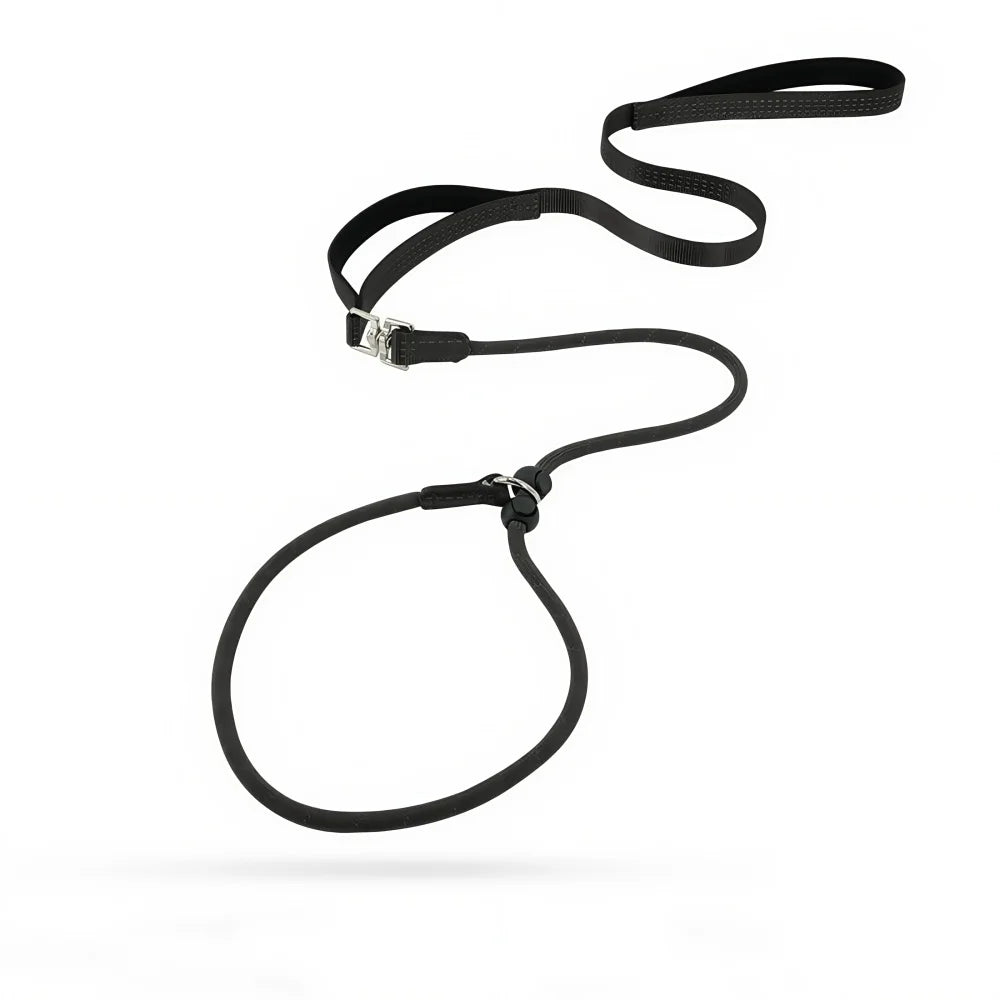 durable slip leash with collar loop for dogs