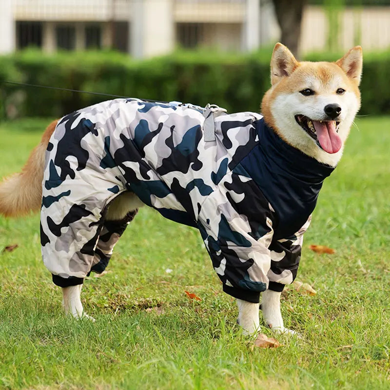 Winter Dog Jacket – Warm Waterproof Coat for Small & Medium Dogs