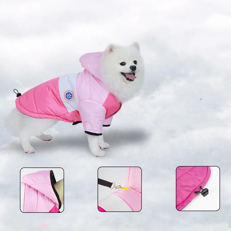 Winter Dog Jacket – Waterproof Cotton Coat for Small Dogs | Warm Pet Outfit for Chihuahua, Bulldog, Poodle, Maltese