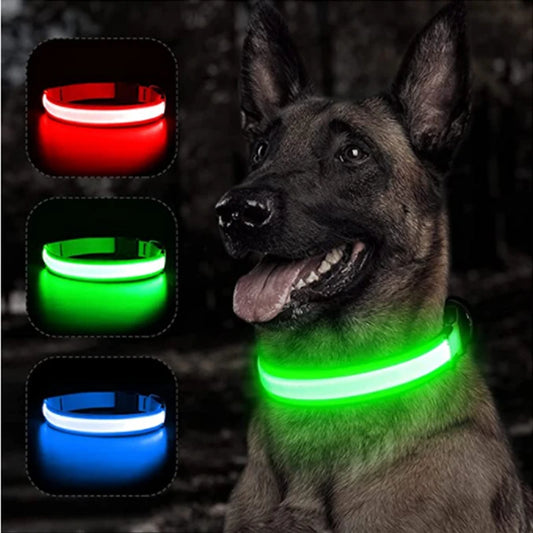 USB rechargeable LED glowing dog collar
