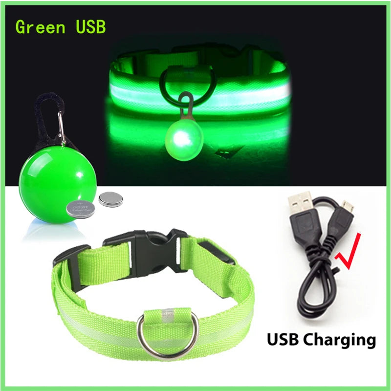 USB Rechargeable LED Dog Collar – Night Safety