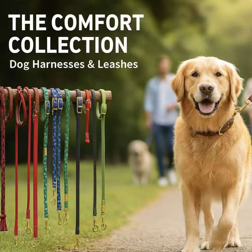 Dog & Cat Harness & Leashes