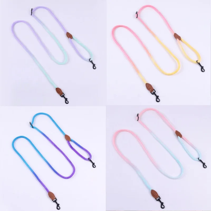 Close-up of nylon gradient leash for pets
