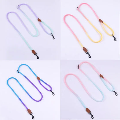 Close-up of nylon gradient leash for pets