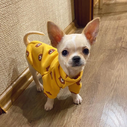 Small dog wearing green gingerbreadman winter hoodie