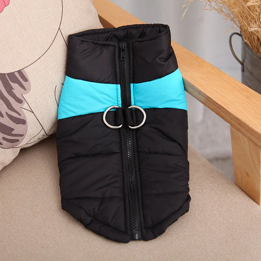 Black and green padded waterproof dog jacket