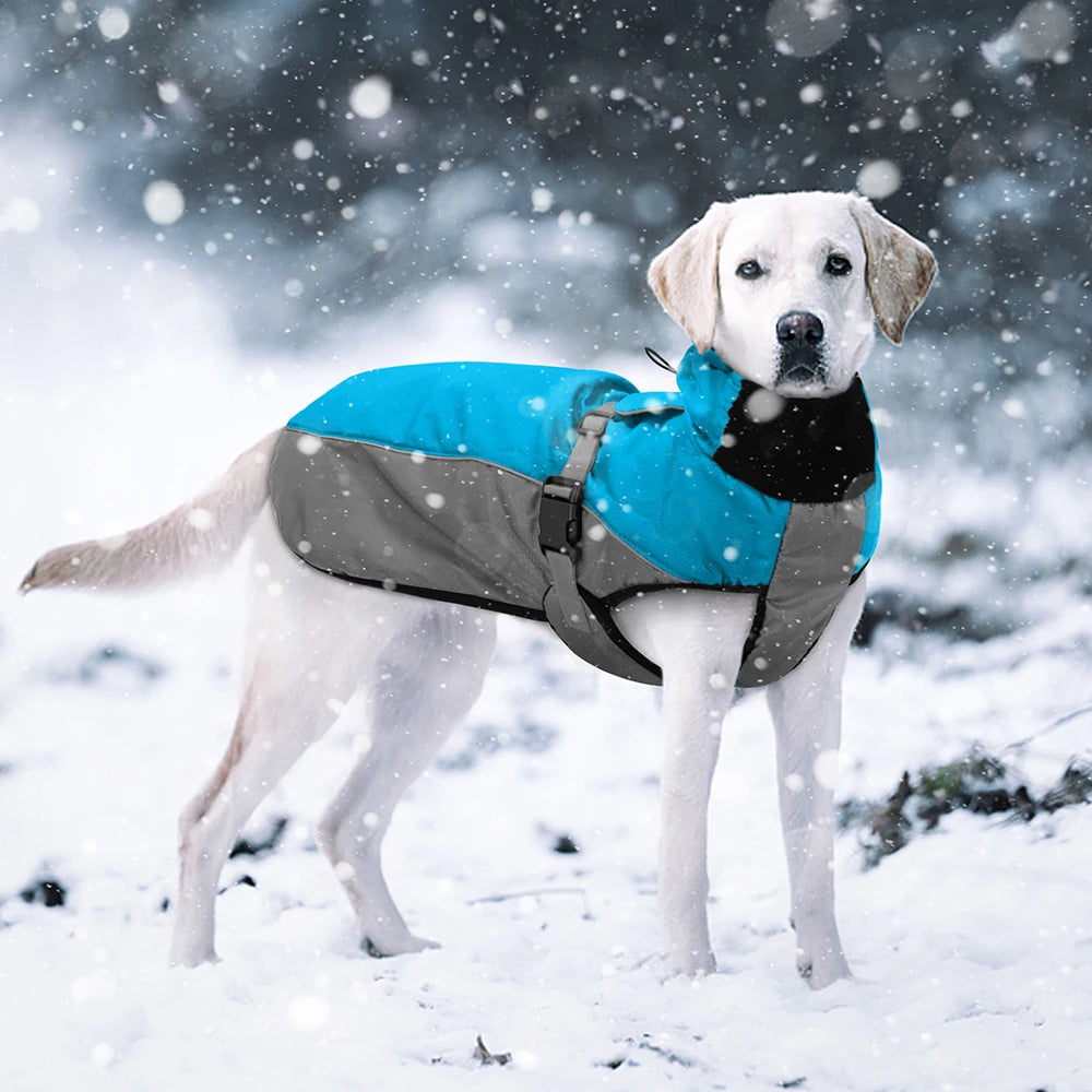 Waterproof Winter Dog Coat – Warm Jacket for Large Dogs
