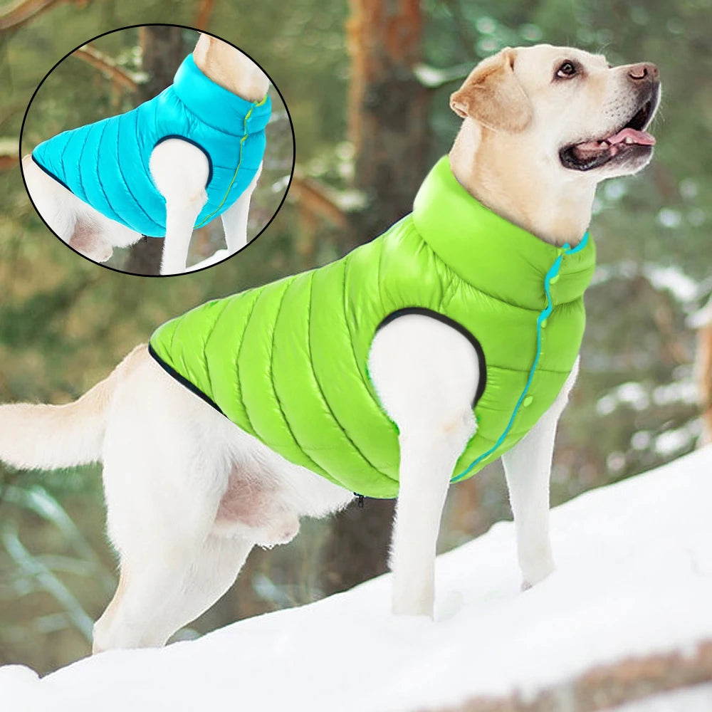 Light blue dog jacket – waterproof and warm winter coat