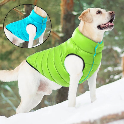 Light blue dog jacket – waterproof and warm winter coat