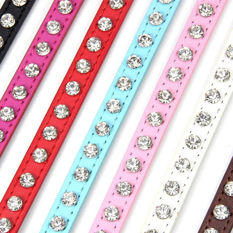 Sparkly jeweled collar for cats and small dogs
