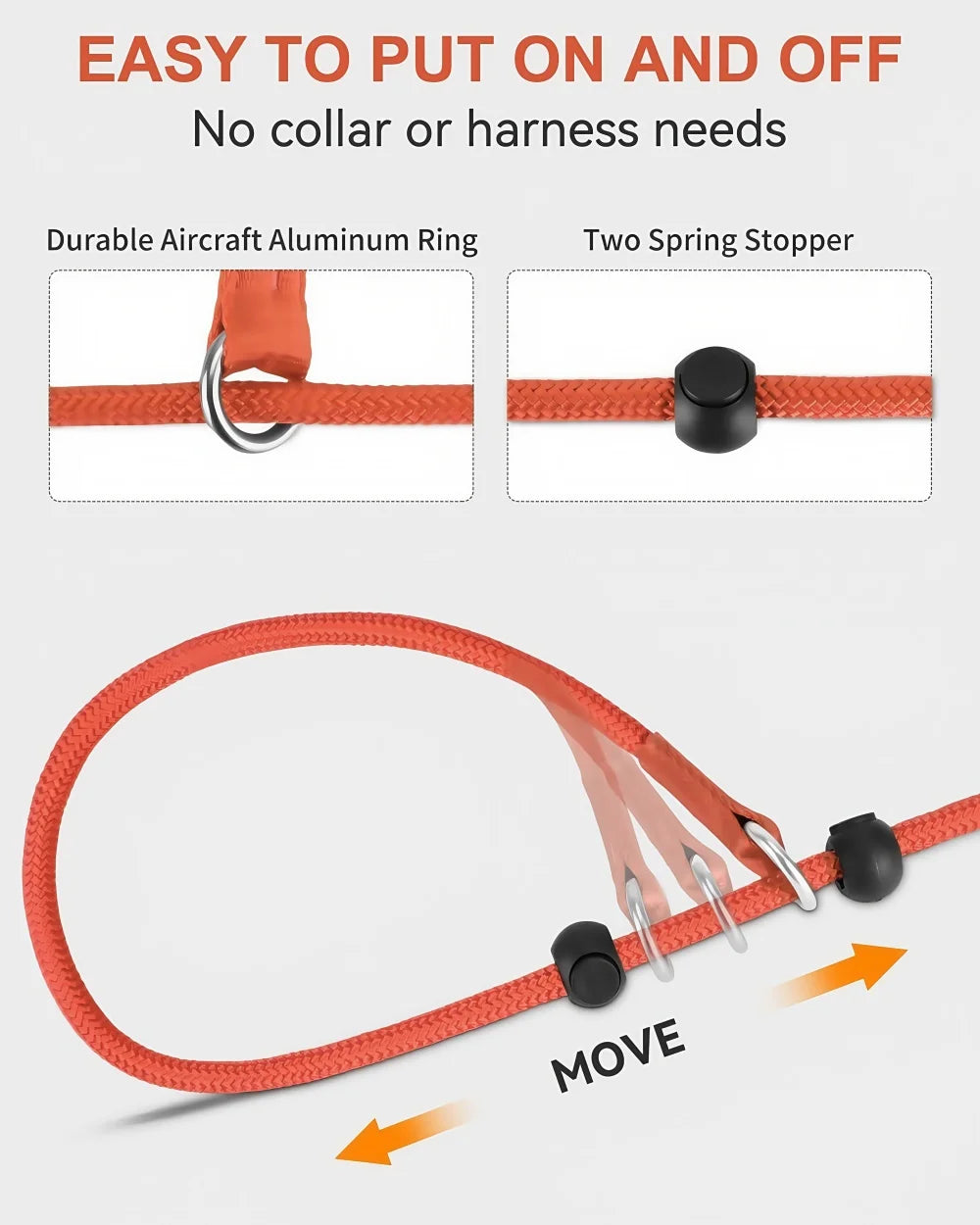 Nylon Slip Lead Dog Leash – Training & Walking