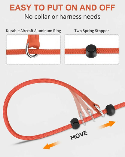 Nylon Slip Lead Dog Leash – Training & Walking