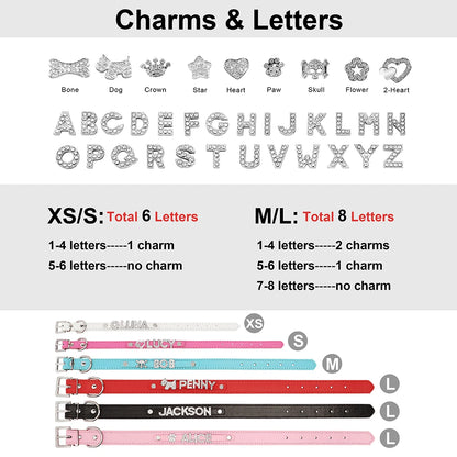 White puppy wearing custom bling dog collar with name charms