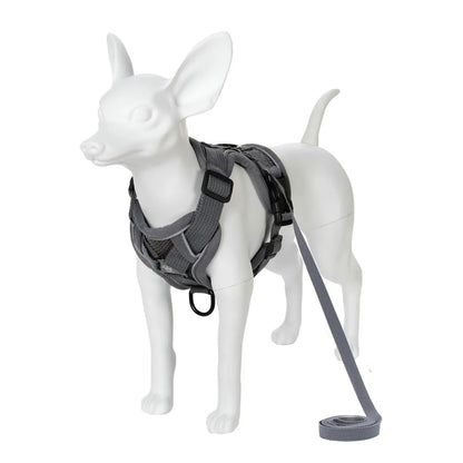 Breathable Dog Harness & Leash Set – No-Pull, Reflective