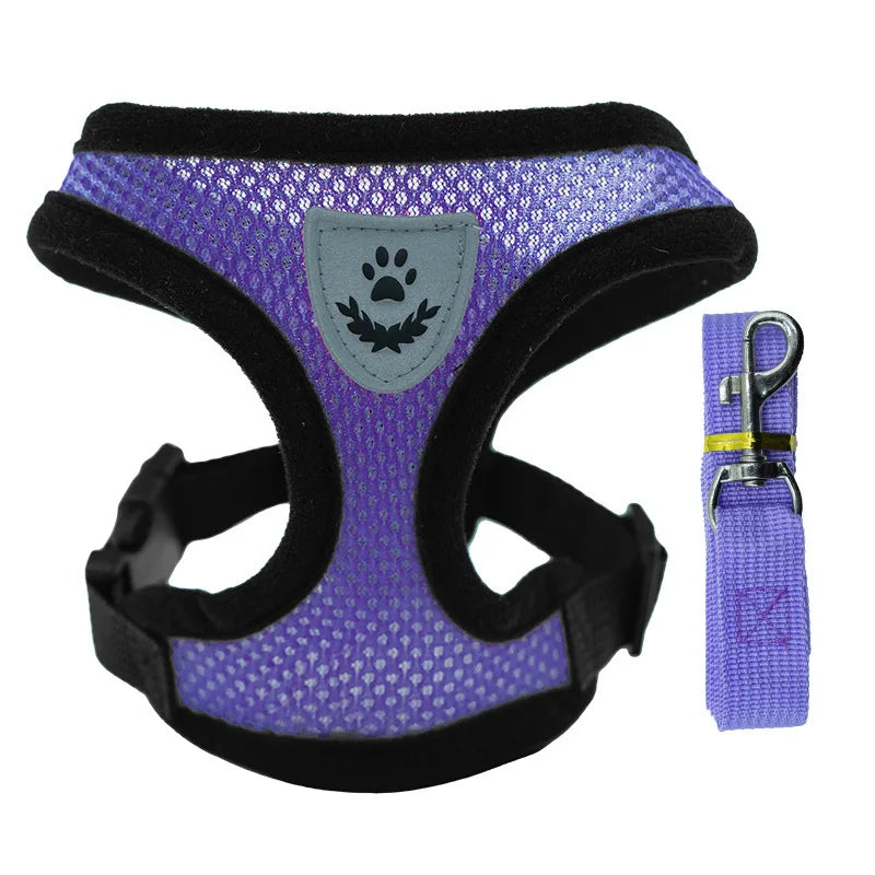 Pet Harness & Leash Set – Adjustable for Cats & Dogs