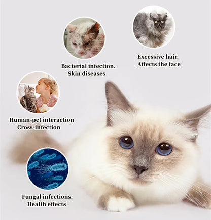 Dog grooming comb with built-in UV sterilizer – removes loose hair