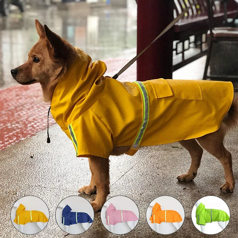Multiple colors of large dog raincoats displayed