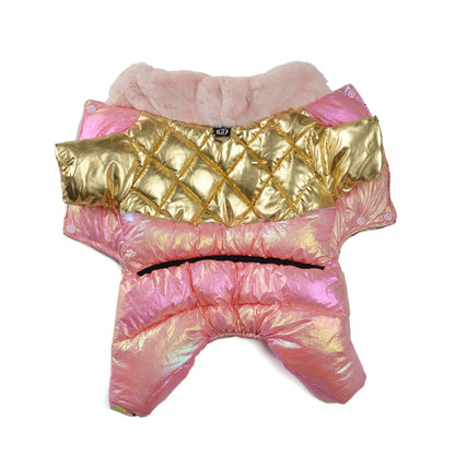 Warm padded dog coat for small breeds
