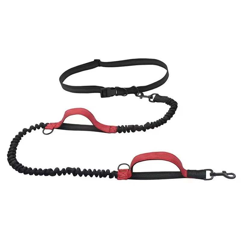 Reflective Elastic Dog Leash – Dual Stretch Traction Rope for Outdoor Running