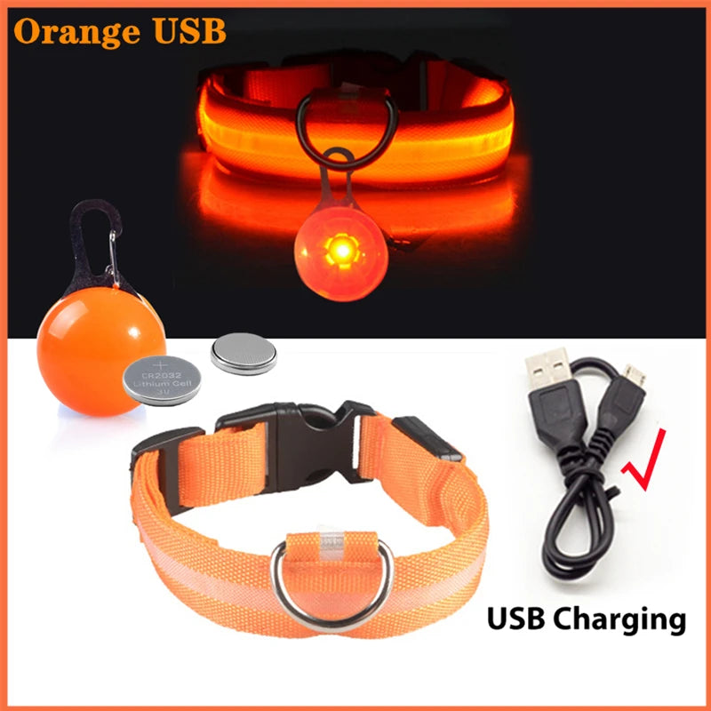 USB Rechargeable LED Dog Collar – Night Safety