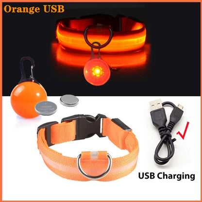 USB Rechargeable LED Dog Collar – Night Safety