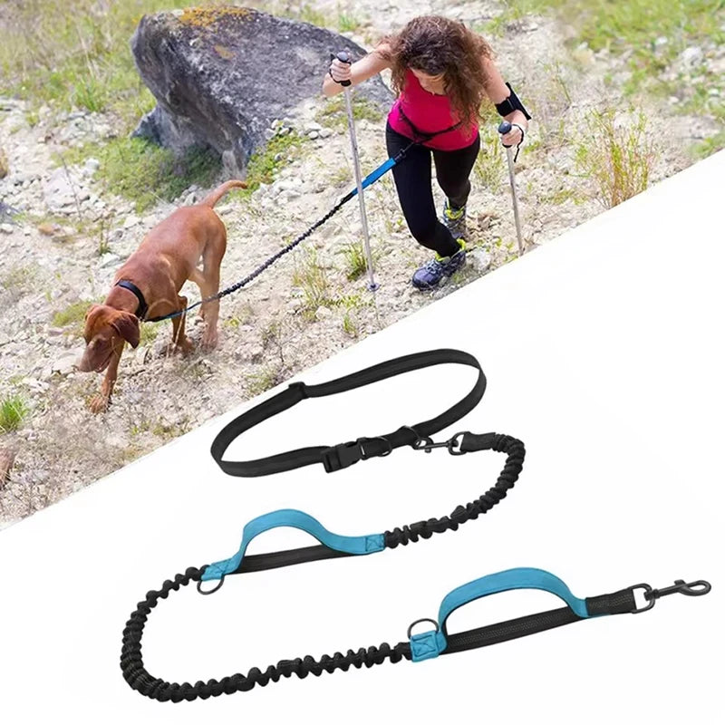 Dual elastic reflective dog leash in black