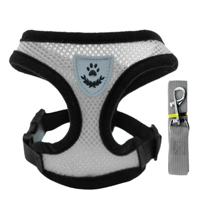 Pet Harness & Leash Set – Adjustable for Cats & Dogs