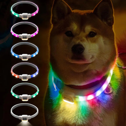 Rechargeable LED Dog Collar - Waterproof Light-Up Safety Necklace for Night Walks, 6 Flashing Modes, USB Glow Pet Collar