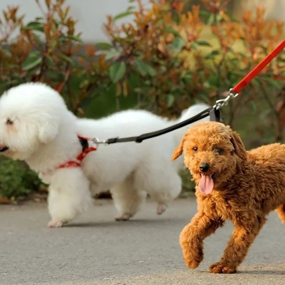 360 swivel connector double leash set for dogs
