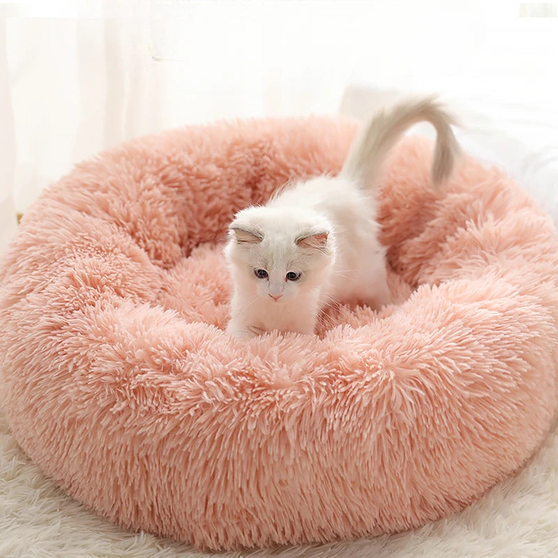 washable pet bed with non-slip bottom