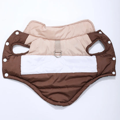 Dog wearing waterproof winter jacket – front view