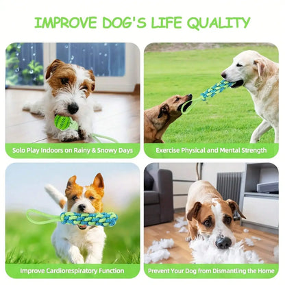 Dog Rope Toys Set – 3pcs Interactive Training Pack