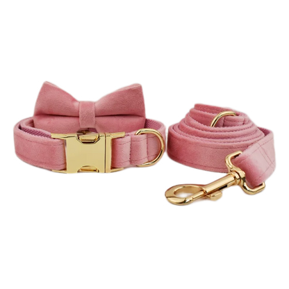 Custom Velvet Dog Collar & Leash – Engraved Pet Name Tag