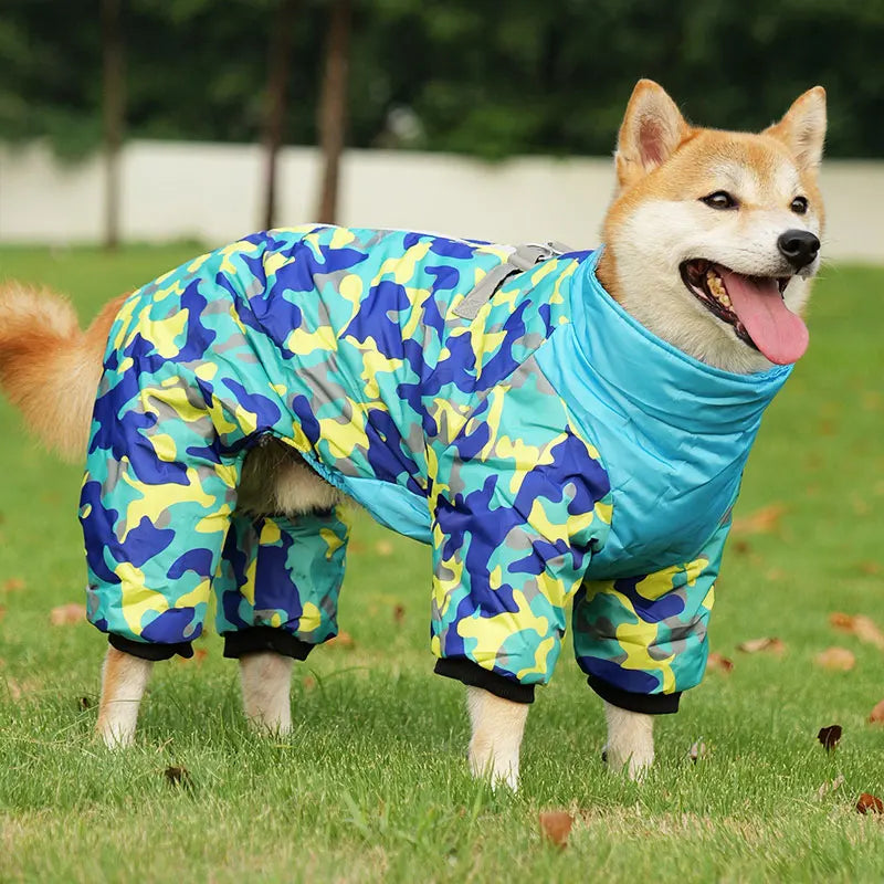 French Bulldog wearing insulated winter jacket outdoors