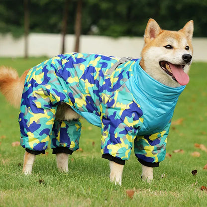 French Bulldog wearing insulated winter jacket outdoors