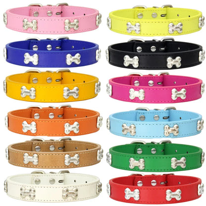 Personalized dog collar with engraved name tag
