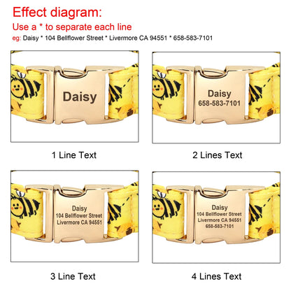 Engraving options for personalized dog collar – 1 to 4 lines available.