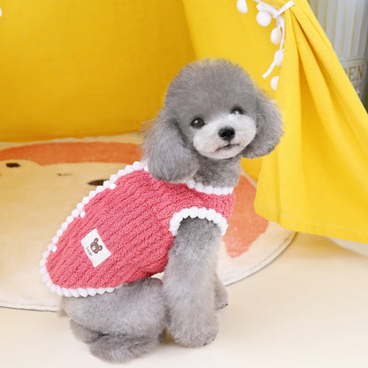 Pomeranian in warm fleece vest – indoor photo
