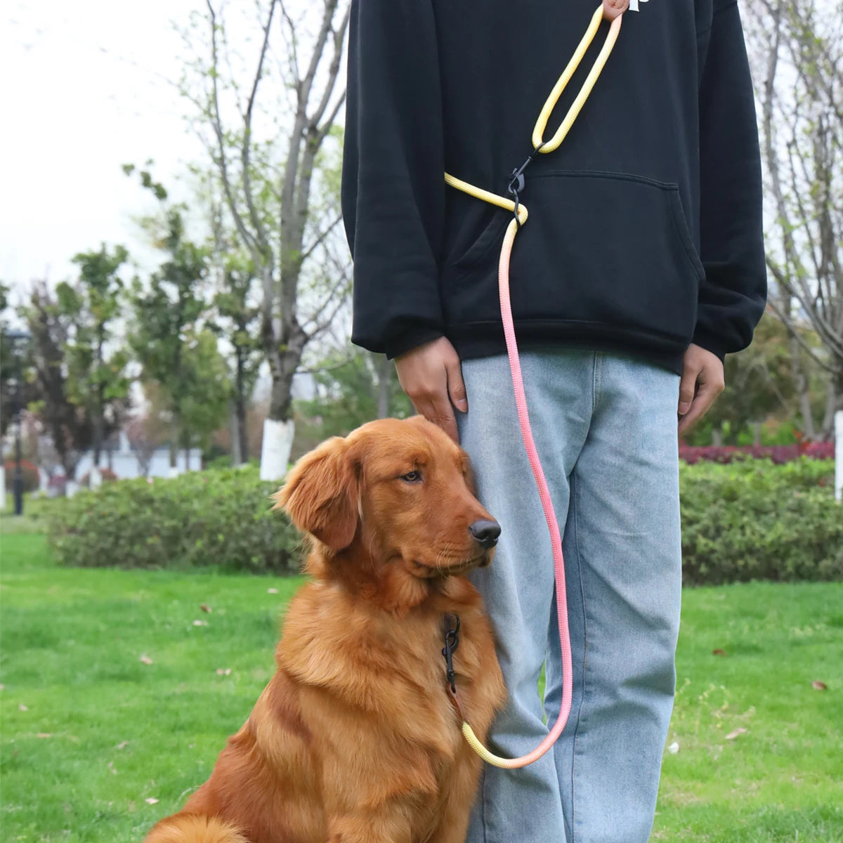 Durable outdoor dog leash with gradient color design