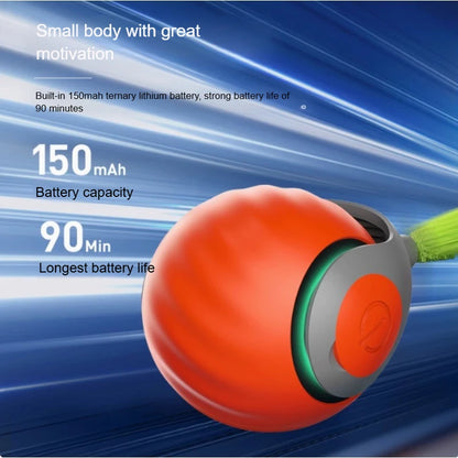 USB Rechargeable Smart Cat Ball Toy – Automatic Rolling Ball with Faux Tail for Active Kitten Training & Play