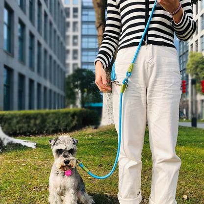 Reflective nylon dog leash for safe night walks