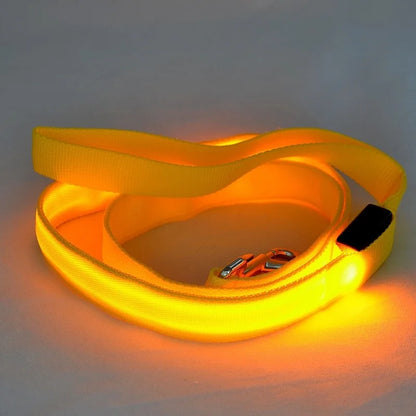 glowing pet leash USB charge durable nylon rope