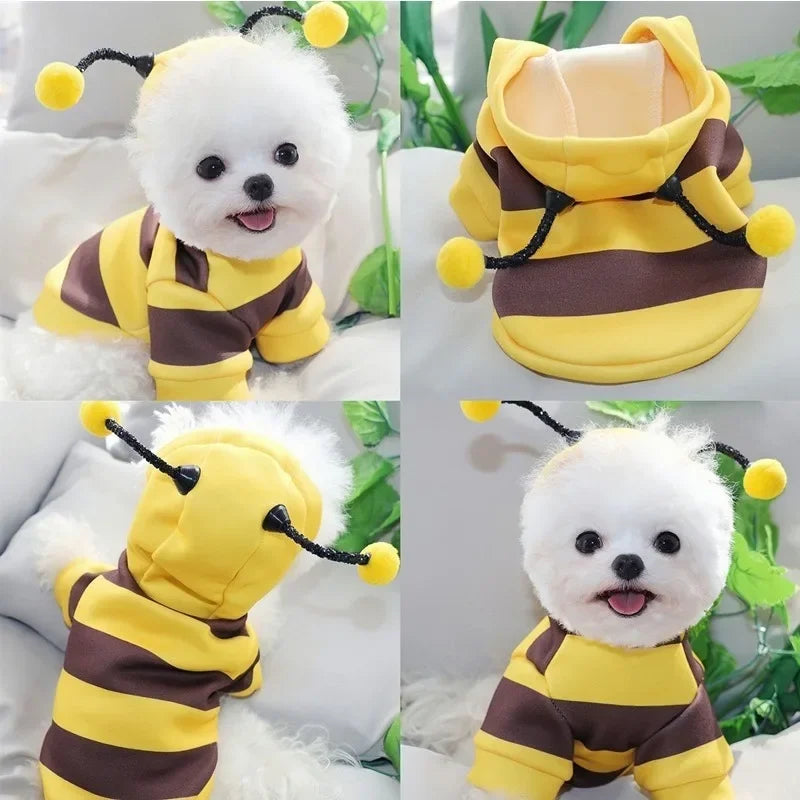 Dog wearing bee fleece hoodie costume – front view