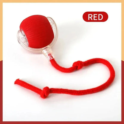 Rechargeable Smart Cat Ball Toy – Interactive Automatic Rolling Ball with Faux Tail, USB Type-C Charging, Anti-Obstacle Design for Dogs & Cats