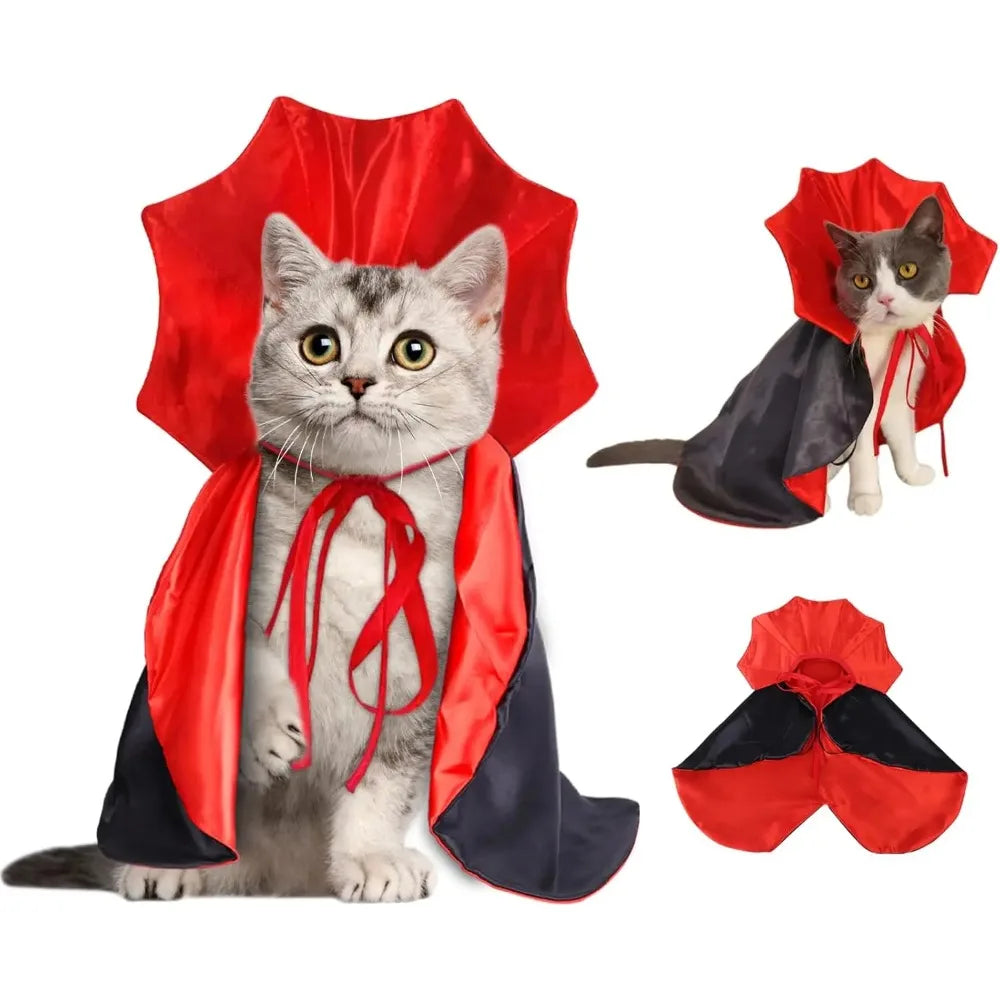 Cat wearing Halloween vampire cape costume